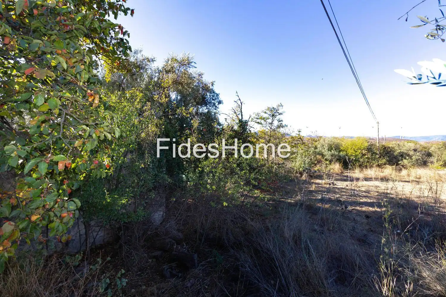 Rural land for sale in XFC2+FVQ Acequias 0, imagen 10