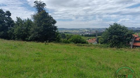 Buscas una finca edificable en Gijón? Presentamos una excepcional finca en venta situada en el tranquilo enclave de Porceyo, Gijón, imatge 5
