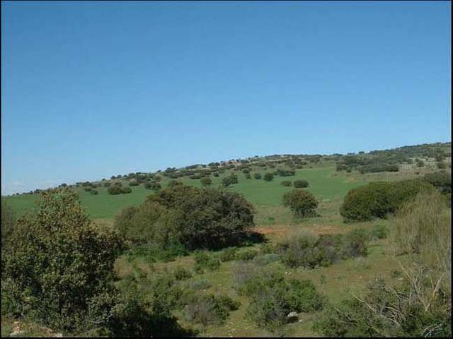 Terreno en Venta en Les Alqueries / Alquerías del Niño Perdido