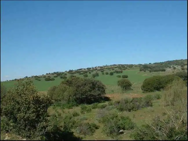 Terreny rústic en venda a Les Alqueries / Alquerías del Niño Perdido