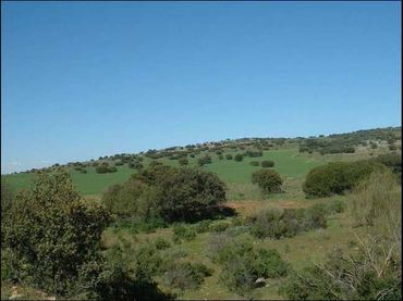 Terreny rústic en venda a Les Alqueries / Alquerías del Niño Perdido