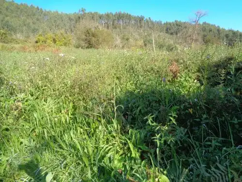 Terreno rustico in vendita a Parroquias suroccidentales, imagen 5