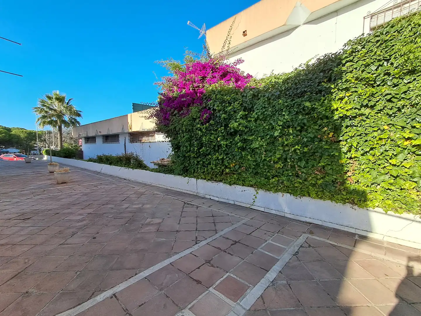 Local comercial en venda a Benamara - Atalaya, imagen 20
