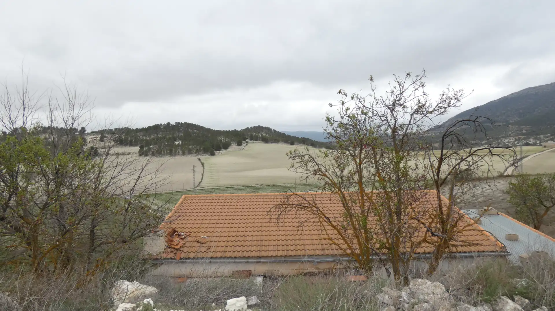 Terreno en venta en María