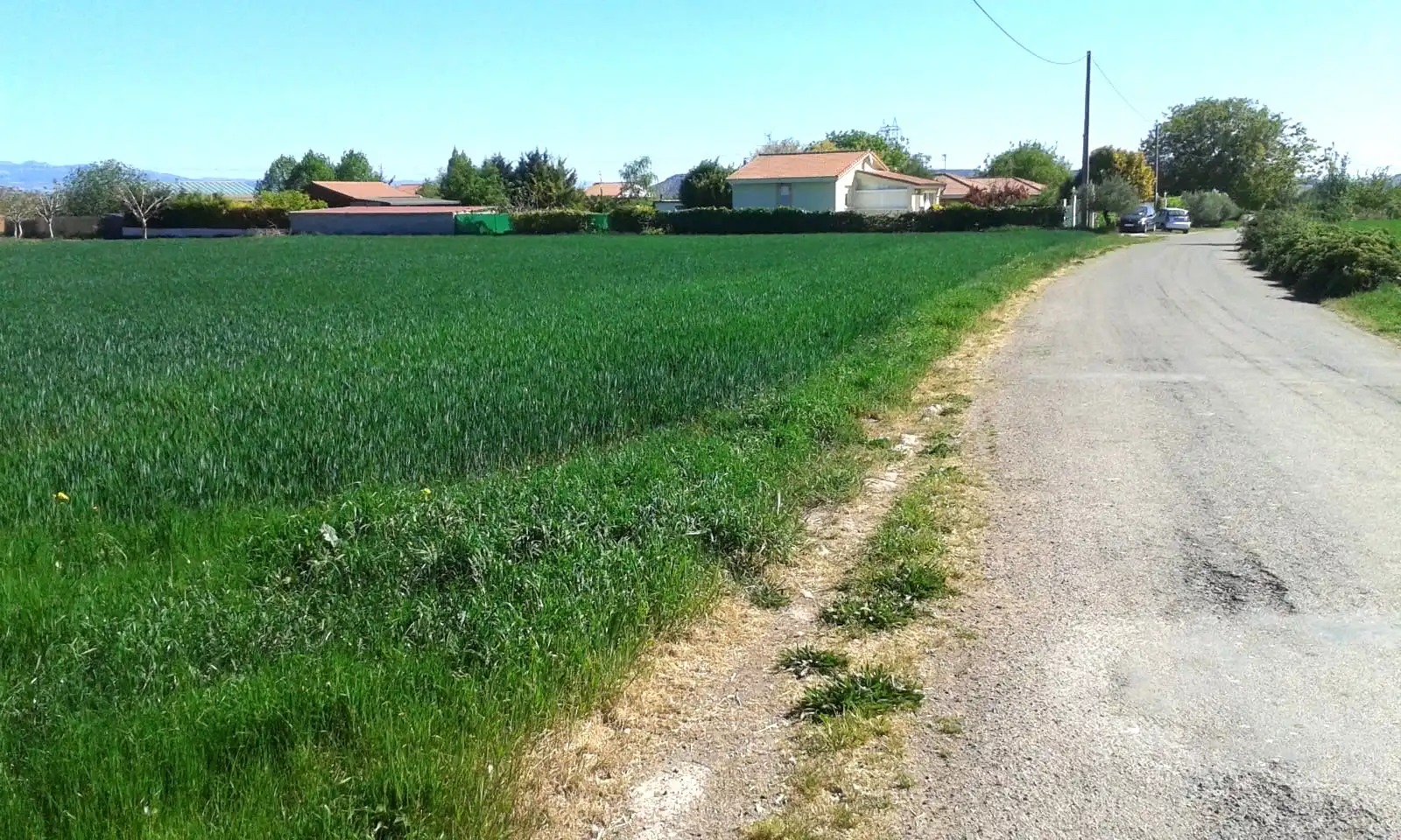 Terrenys i solars en venda a Alberite