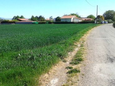Terrain rustique à vendre à Alberite