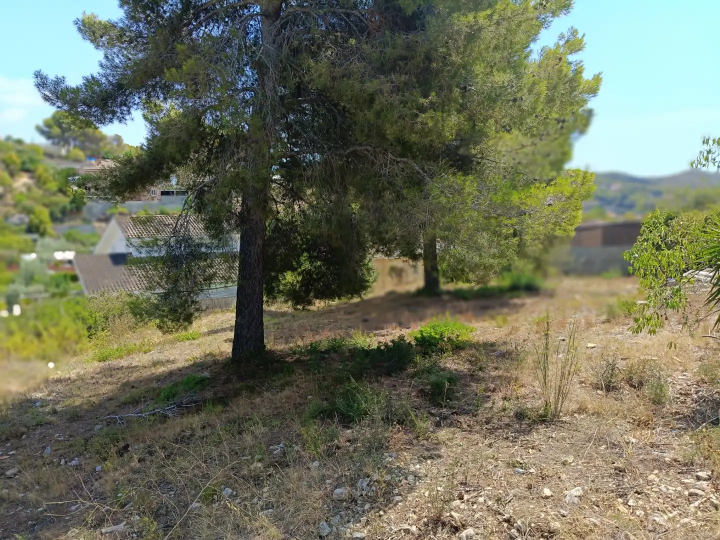 Terreno residenziale in vendita a Carrer Cigne, imagen 3