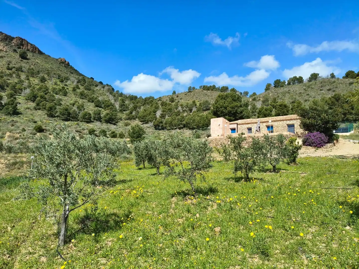 Landhaus mit Pool zum Verkauf in Bolnuevo, imagen 7
