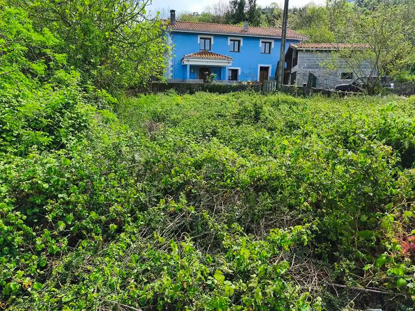 Casa o chalet en venta en Salas con Amueblado