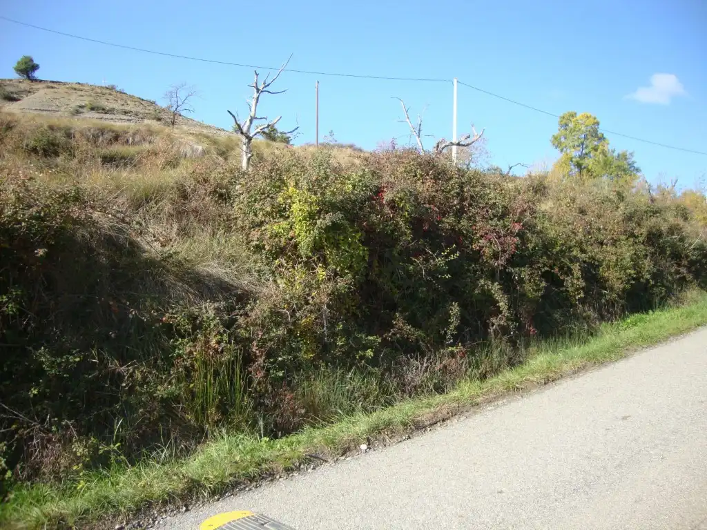 Residential for sale in Carretera Pueyo de Araguas, El Pueyo de Araguás