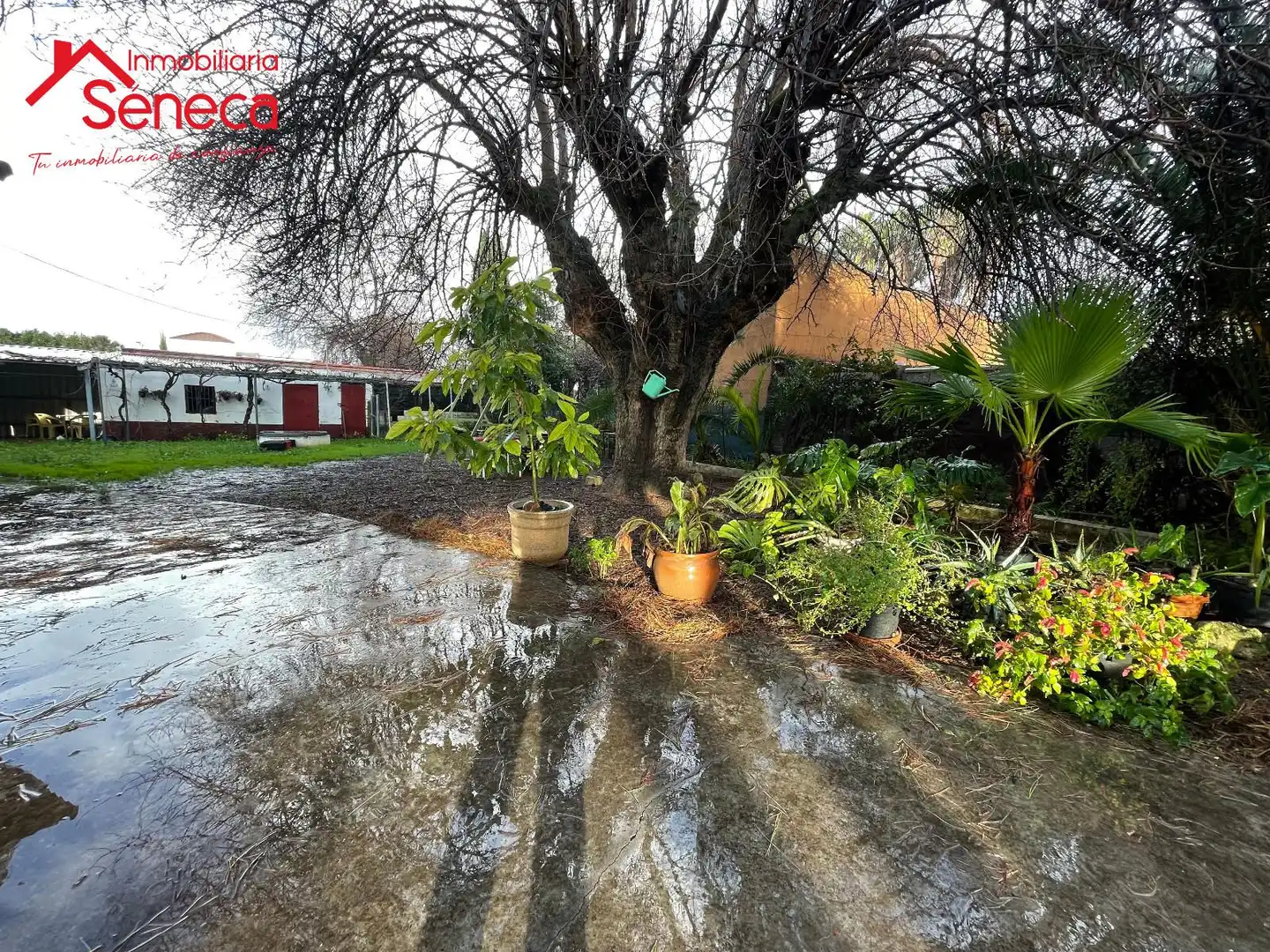 Garden of Houses for sale in Córdoba  with Air Conditioner, Heating and Terrace