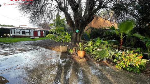Foto 4 de Casa adosada en venta en Camino Viejo de Almódovar, El Higuerón,  Córdoba Capital