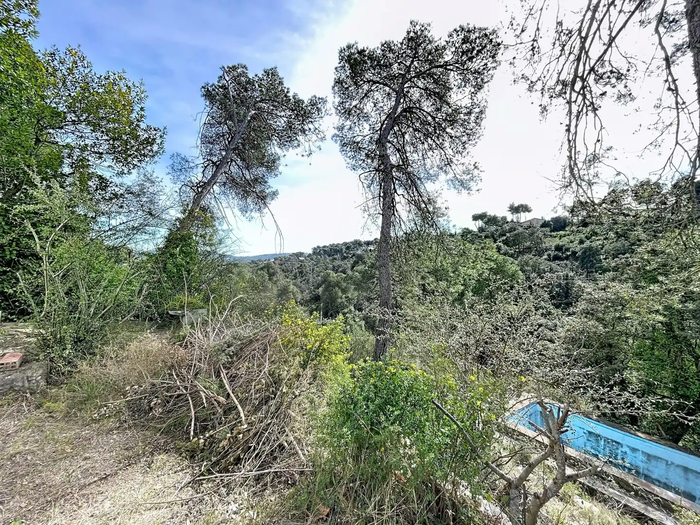 Lands and plots for sale in La Torre de Claramunt, imagen 31