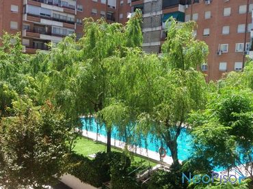 Pis amb piscina en venda a Centro