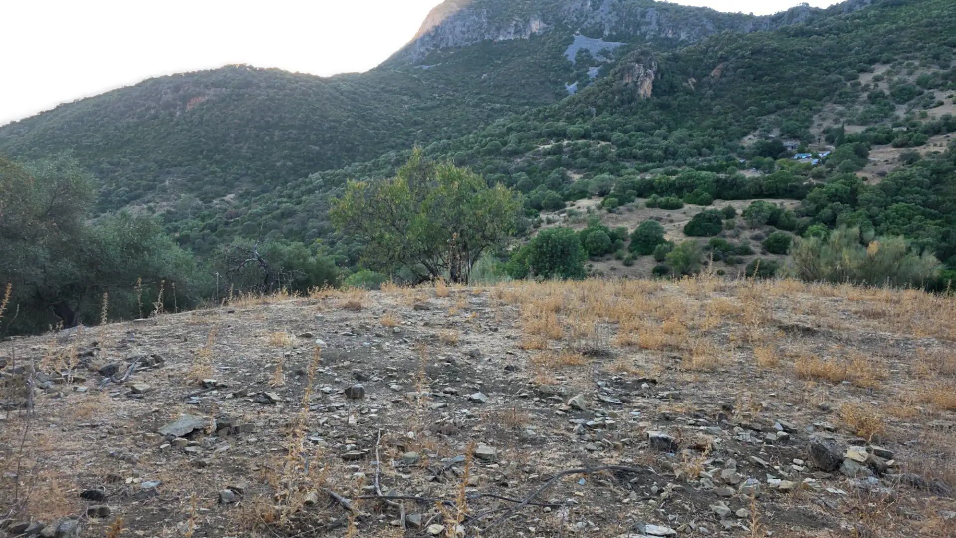 Terreno en venta en Centro