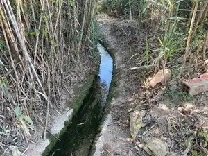 Terreno rustico in vendita a Avinguda de Reus 10, imagen 17