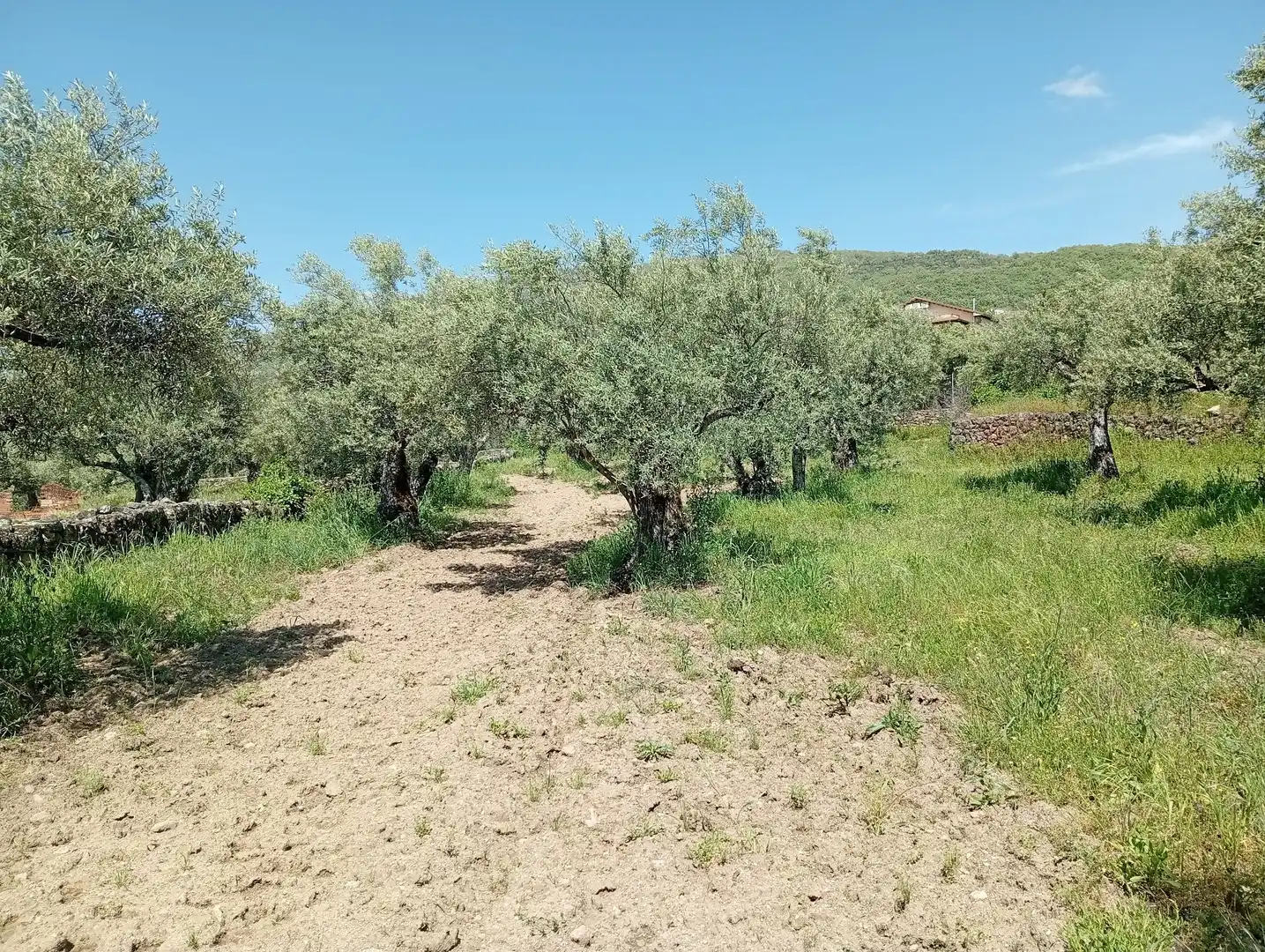 Terreni e lotti in vendita a Villanueva de la Vera, imagen 58
