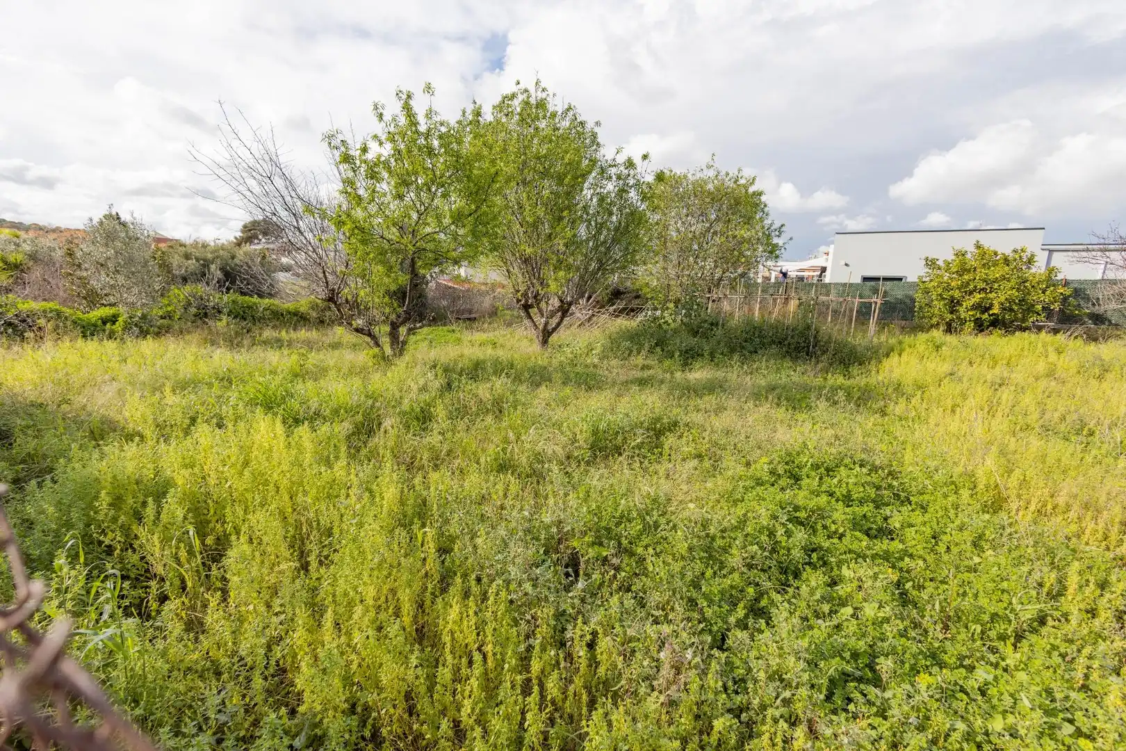 Residential land for sale in Pasaje DALLA, imagen 5