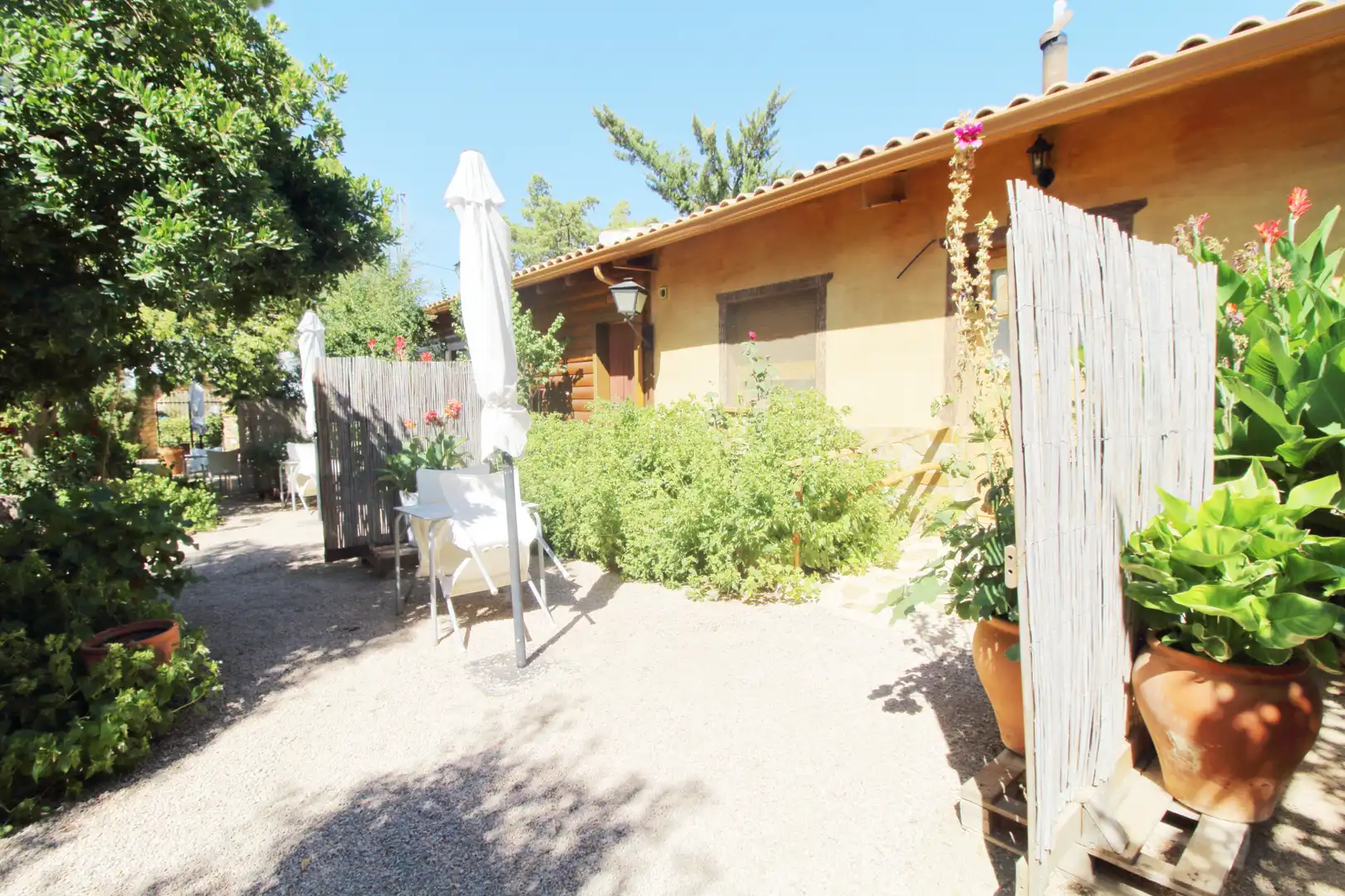 Inmuebles singulares con piscina en venta en Ossa de Montiel, imagen 36