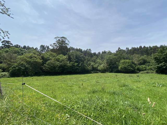 Terreno residencial en Venta en Ribadesella