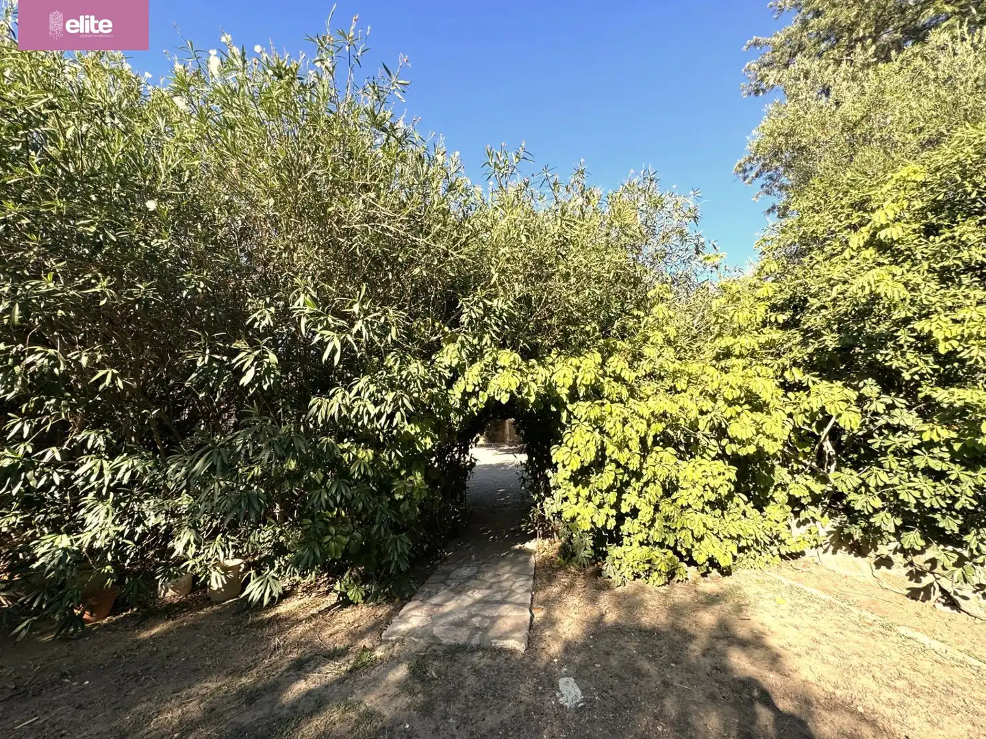 Detached house for sale in Avenida - Divina Pastora - Plaza de Toros, imagen 8