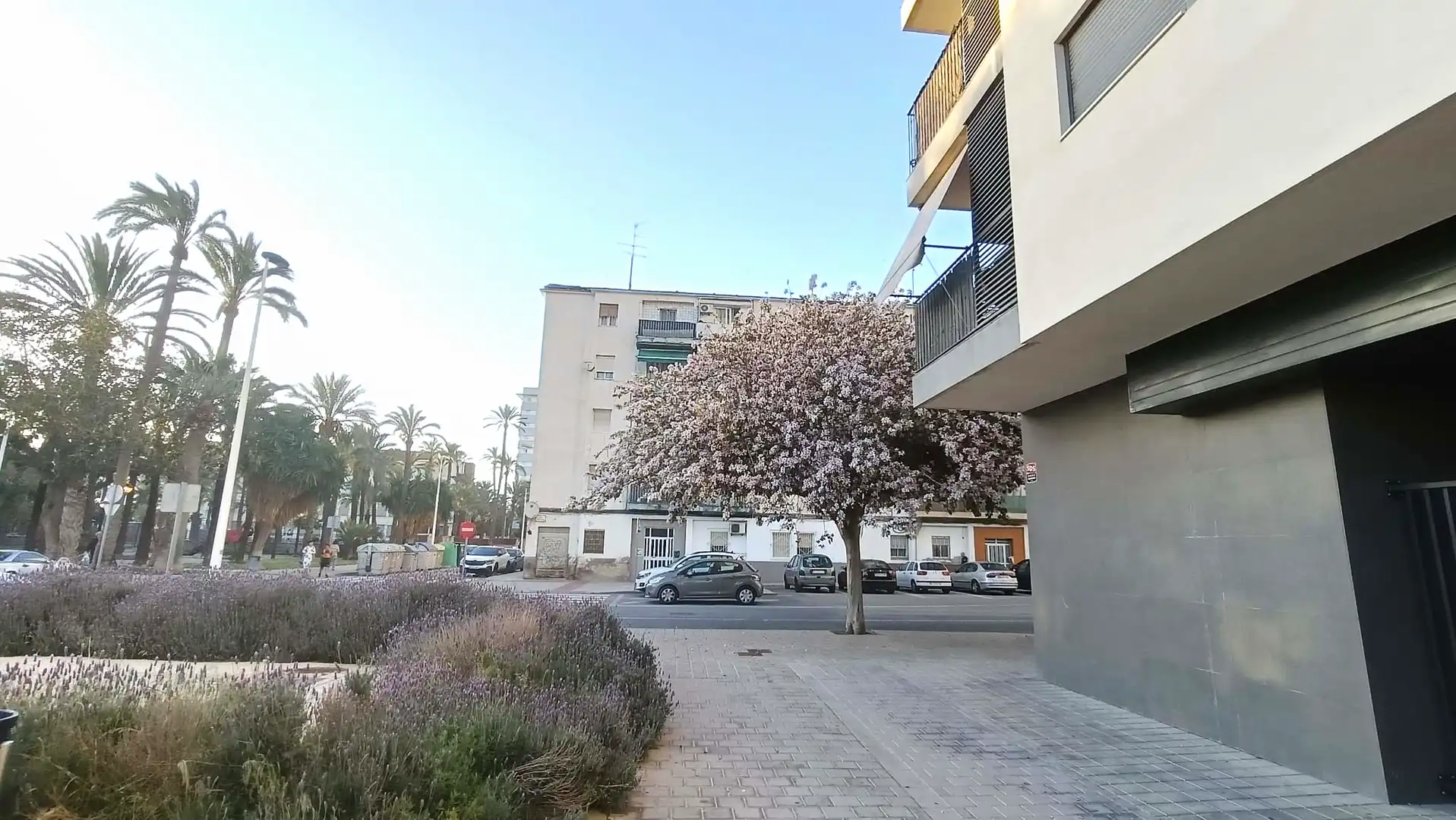 Vista exterior de Pis en venda en Elche / Elx amb Traster i Balcó