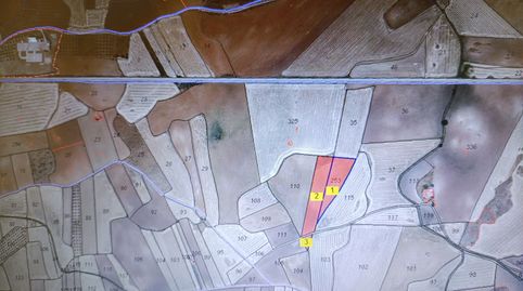 TIERRA DE LABOR DE SECANO, immagine 2