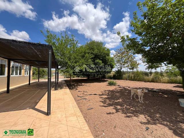 Finca rústica en Venta en Calle CR-211 en Fernán Caballero