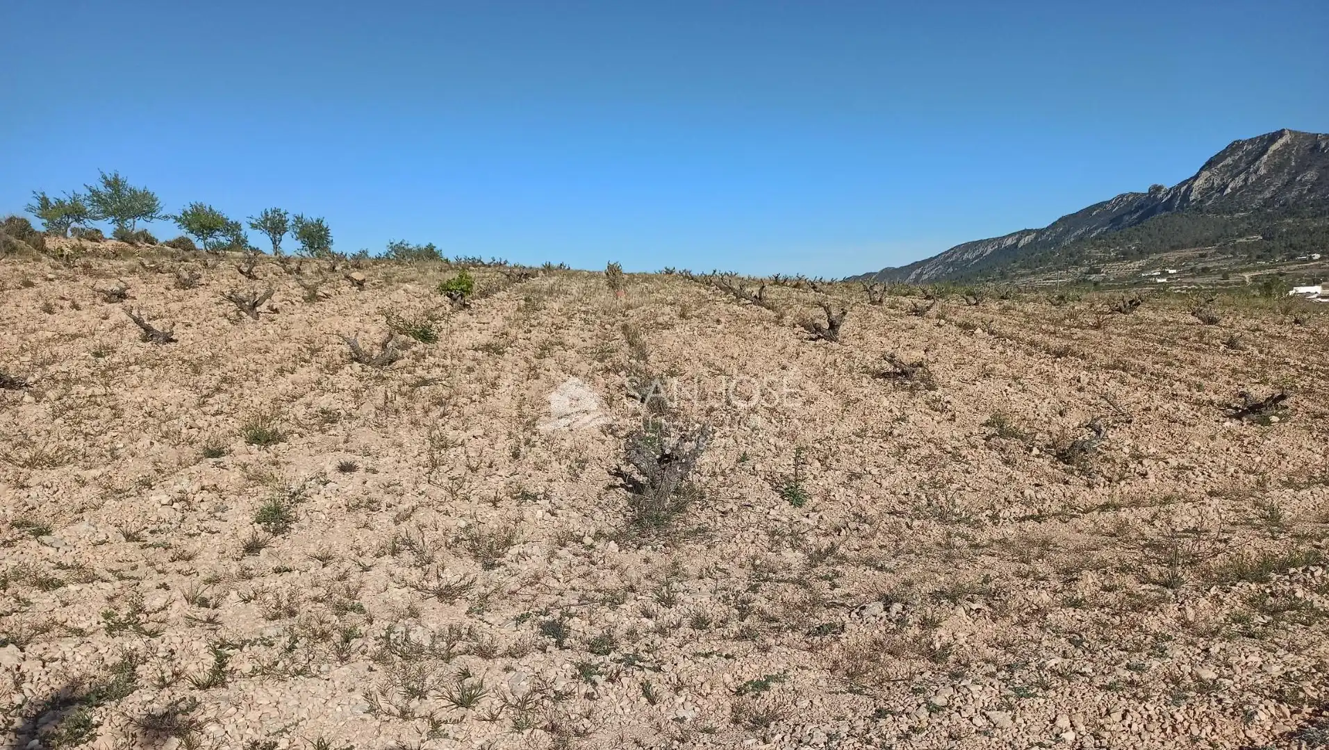Terrain rustique à vendre à Algueña, imagen 5