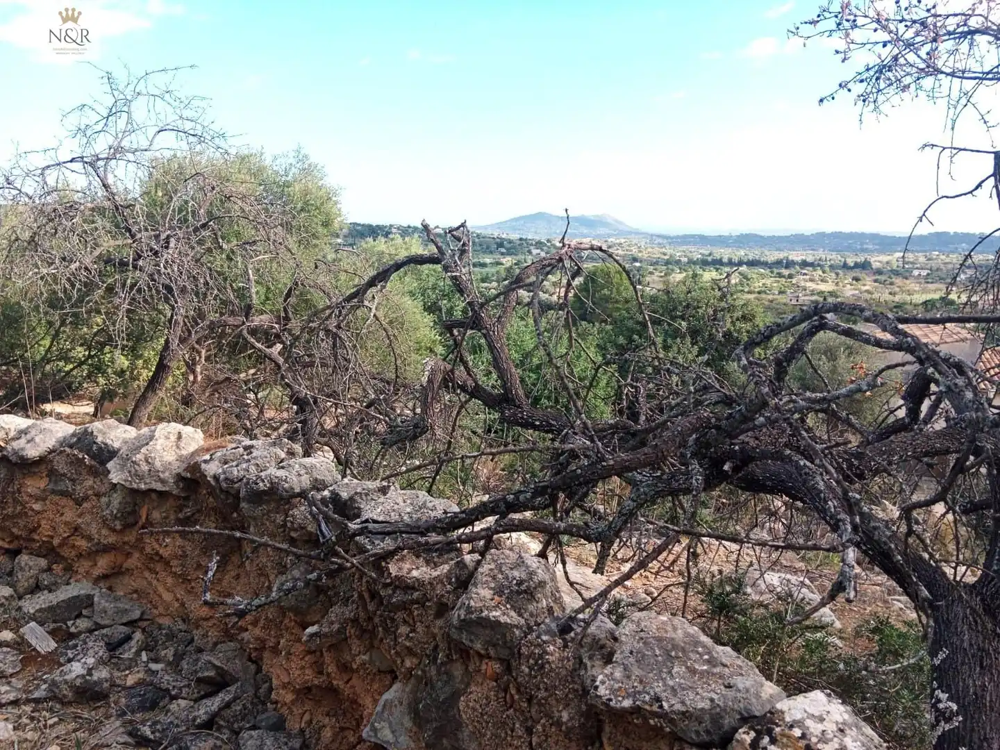 Finca rústica en venta en Selva
