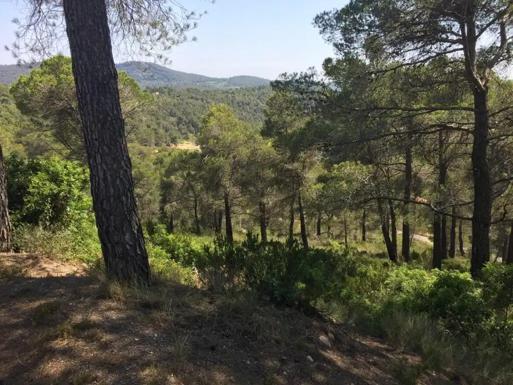 Terreny rústic en venda a BAIX PENEDES, imagen 6