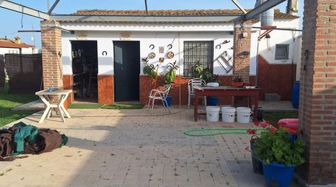 Foto 4 de Terreno en venta en Pedanías Norte, Utrera