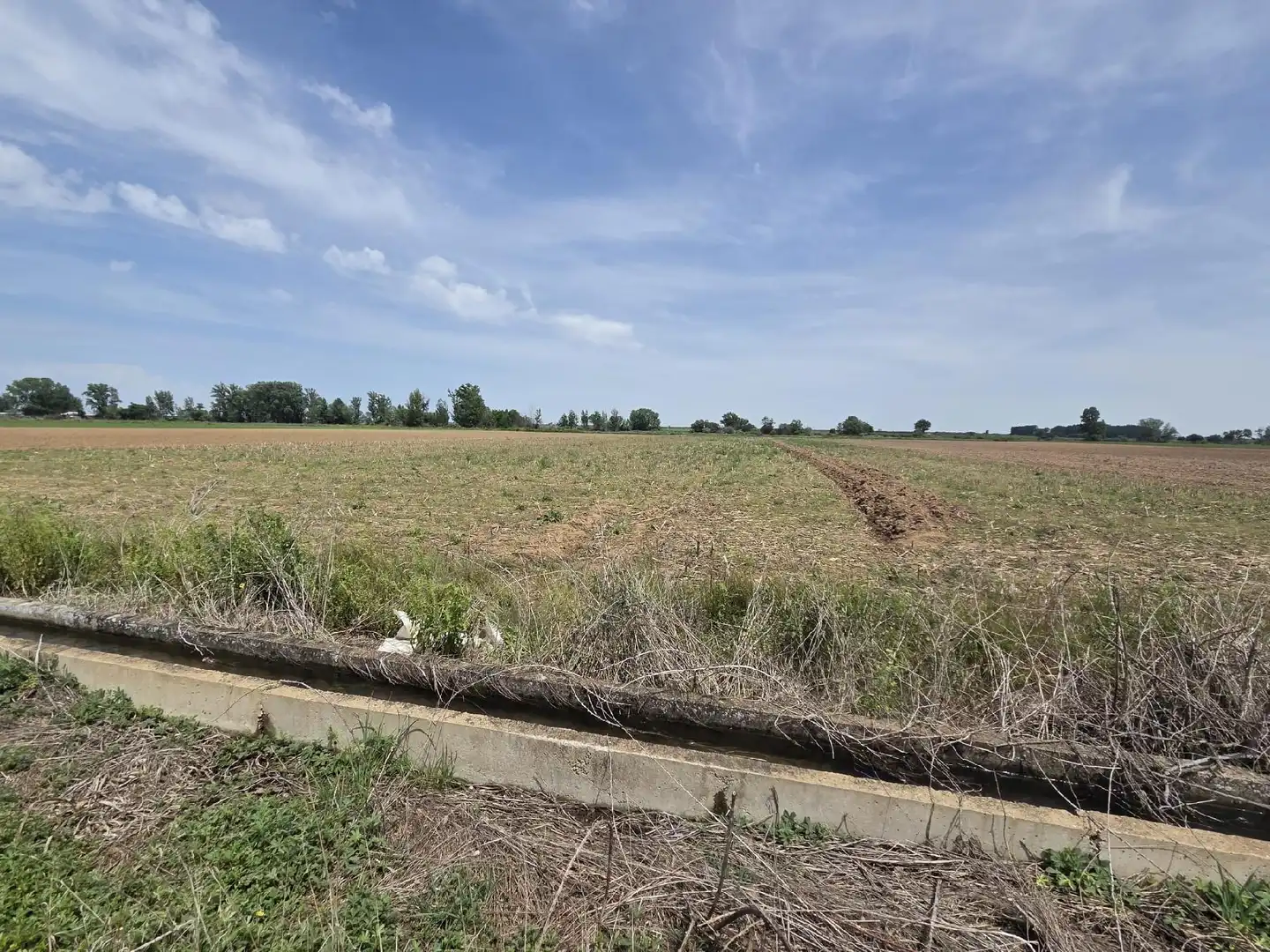 Land for sale in Villazala