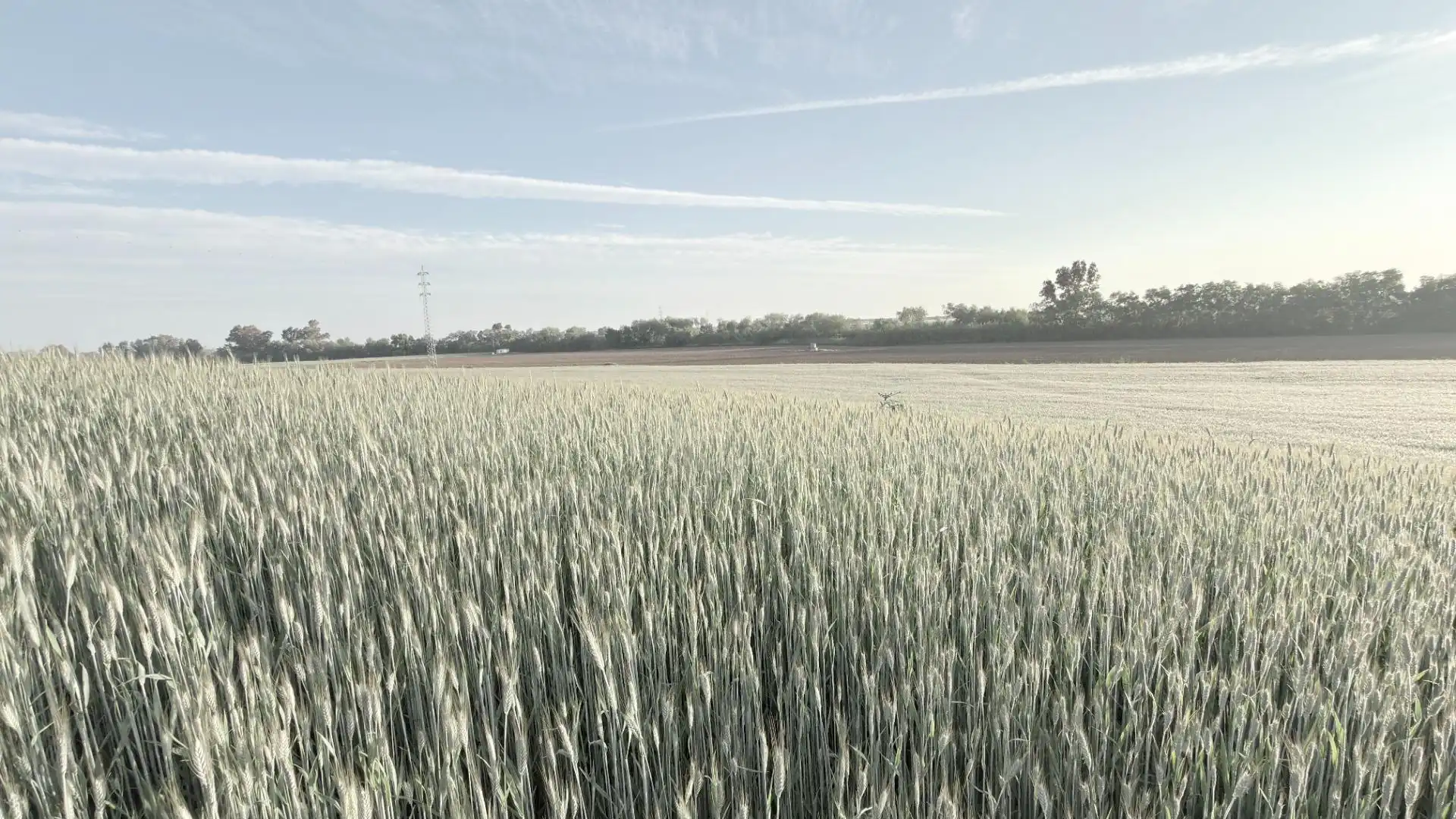 Vista exterior de Finca rústica en venda en Huelva amb Aire condicionat, Terrassa i Piscina
