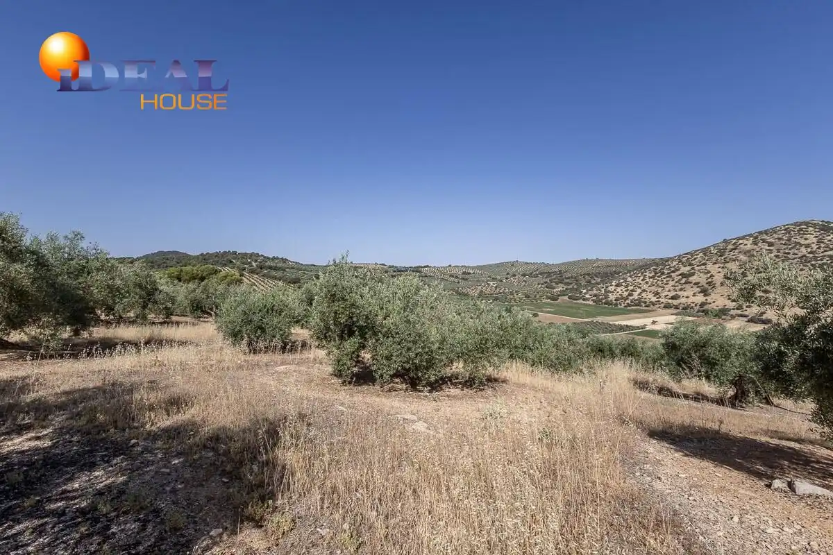 Terreny rústic en venda a Polígono Poligono 51 Parcela 44 51, imagen 10