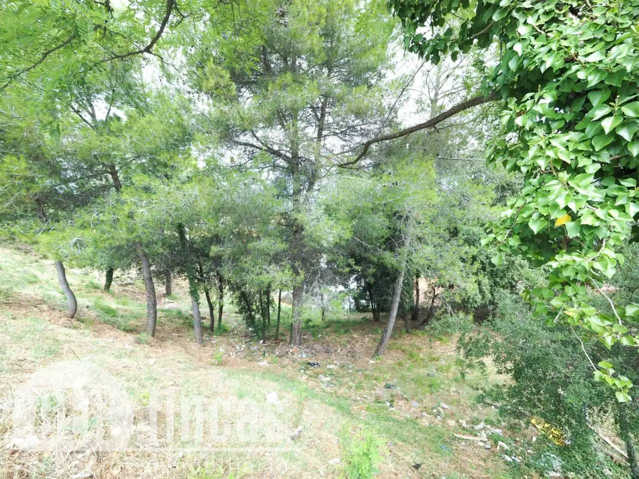 Terreno residencial en venta en Calle Falciot, imagen 14