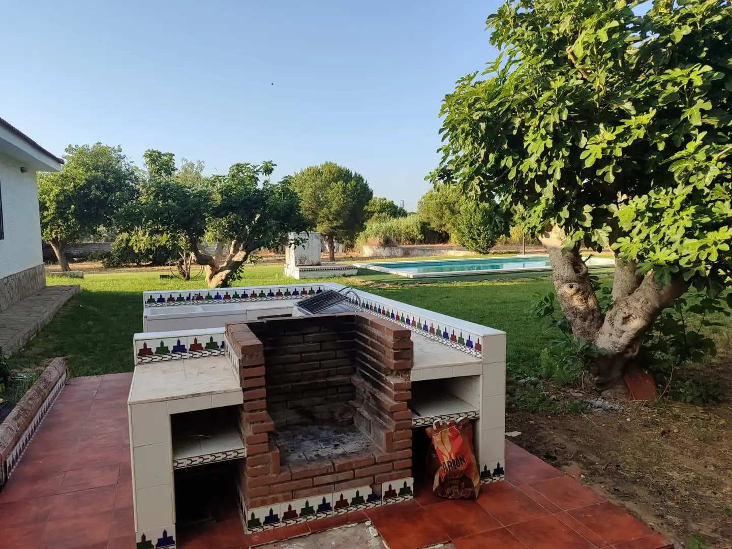 Jardí de Casa o xalet en venda en Chiclana de la Frontera amb Jardí privat i Piscina