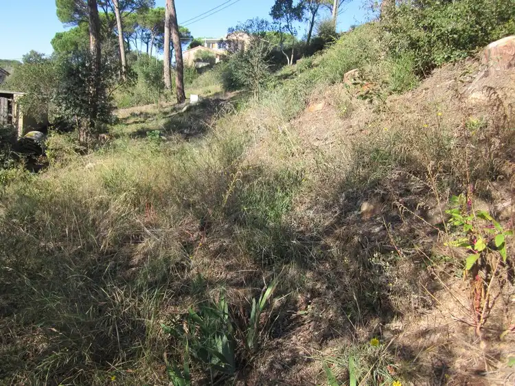 Terreny residencial en venda a Carrer del Puig Colomer, imagen 8