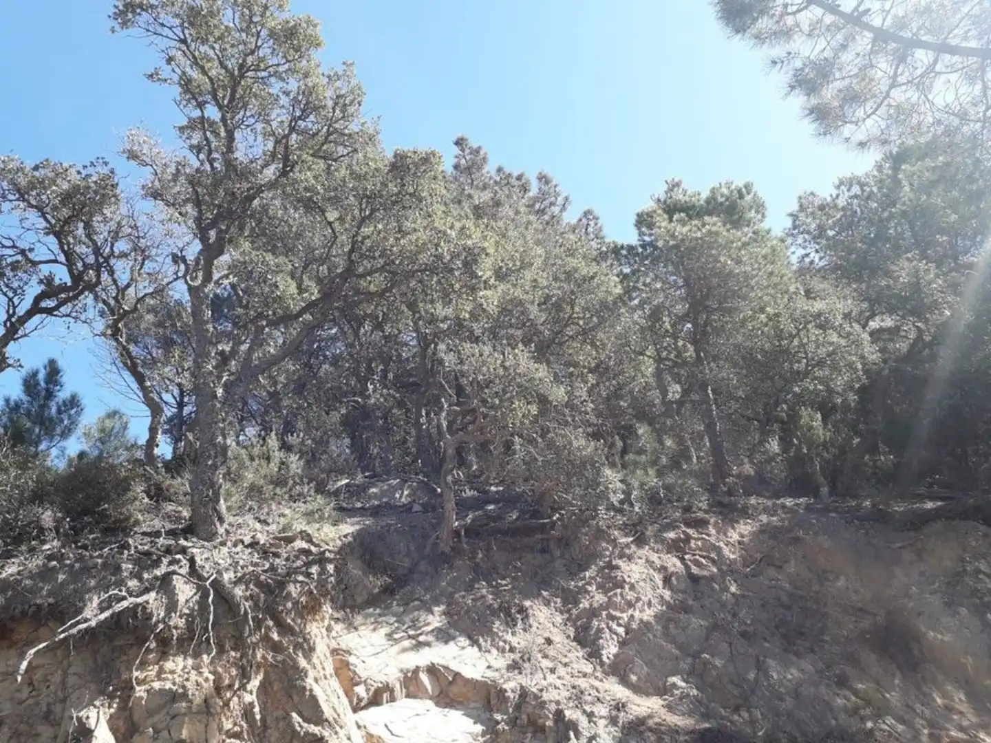 Grundstücke und Bauplätze zum Verkauf in Serra Brava, imagen 3