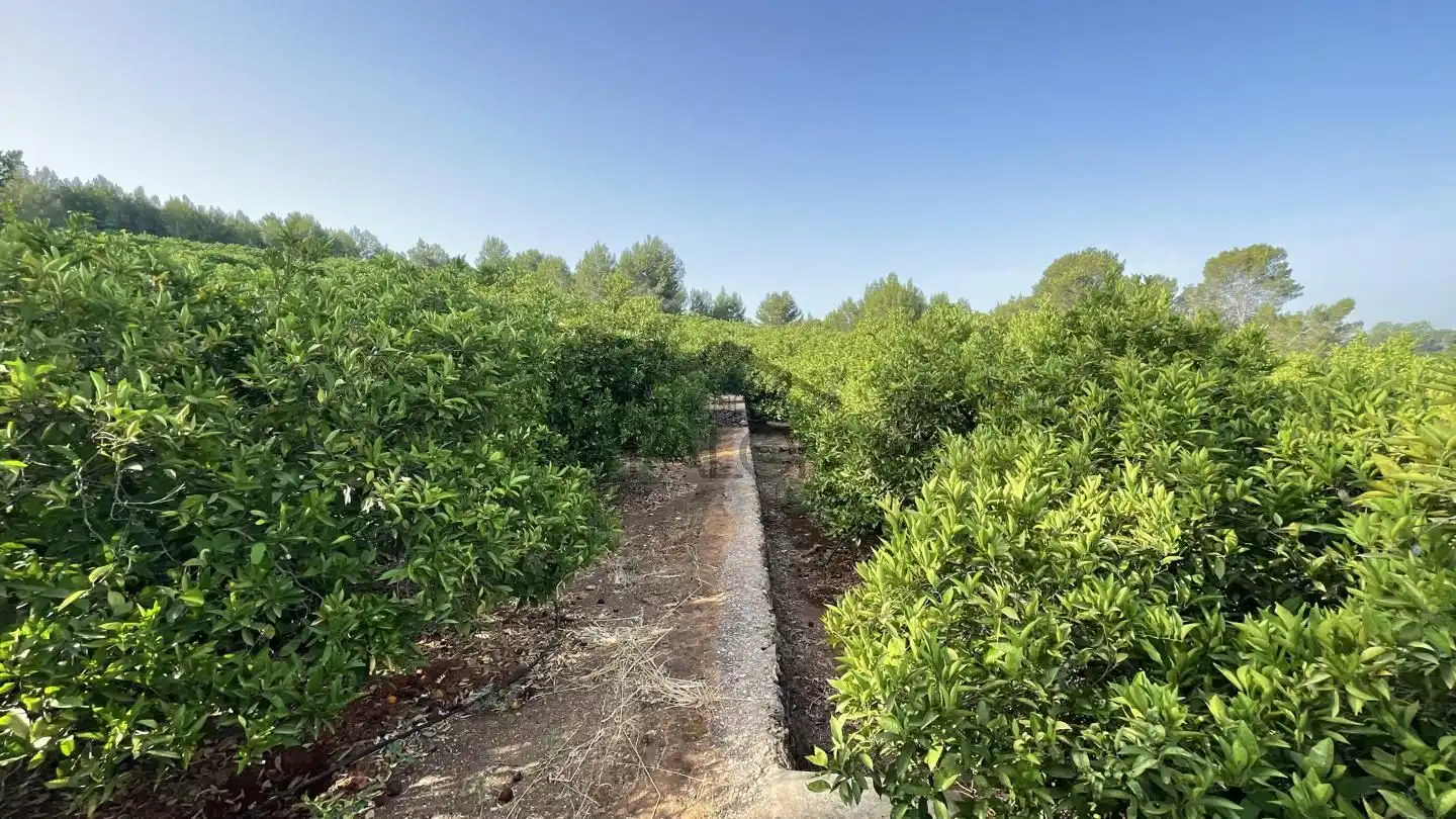 Finca rústica en venta en Carcaixent con Jardín privado, Terraza y Trastero
