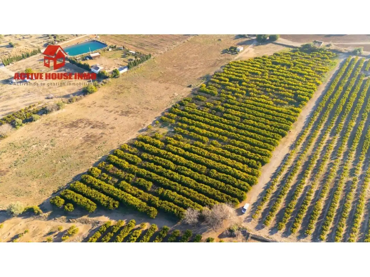 Terreno rustico in vendita a Calle Pol 12 Parc 100