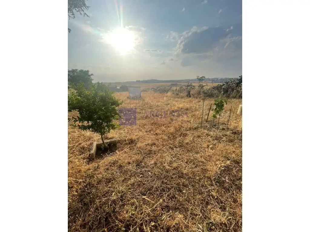 Finca rústica en venda a Poligono Amplacion Charca Musia, Nuevo Cáceres