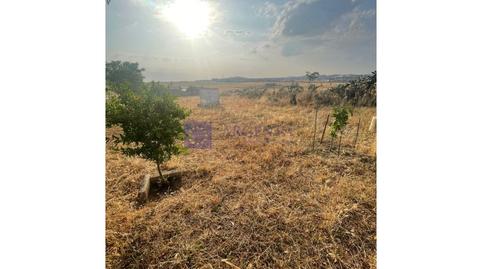 Foto 3 de Finca rústica en venda a Poligono Amplacion Charca Musia, Nuevo Cáceres, Cáceres