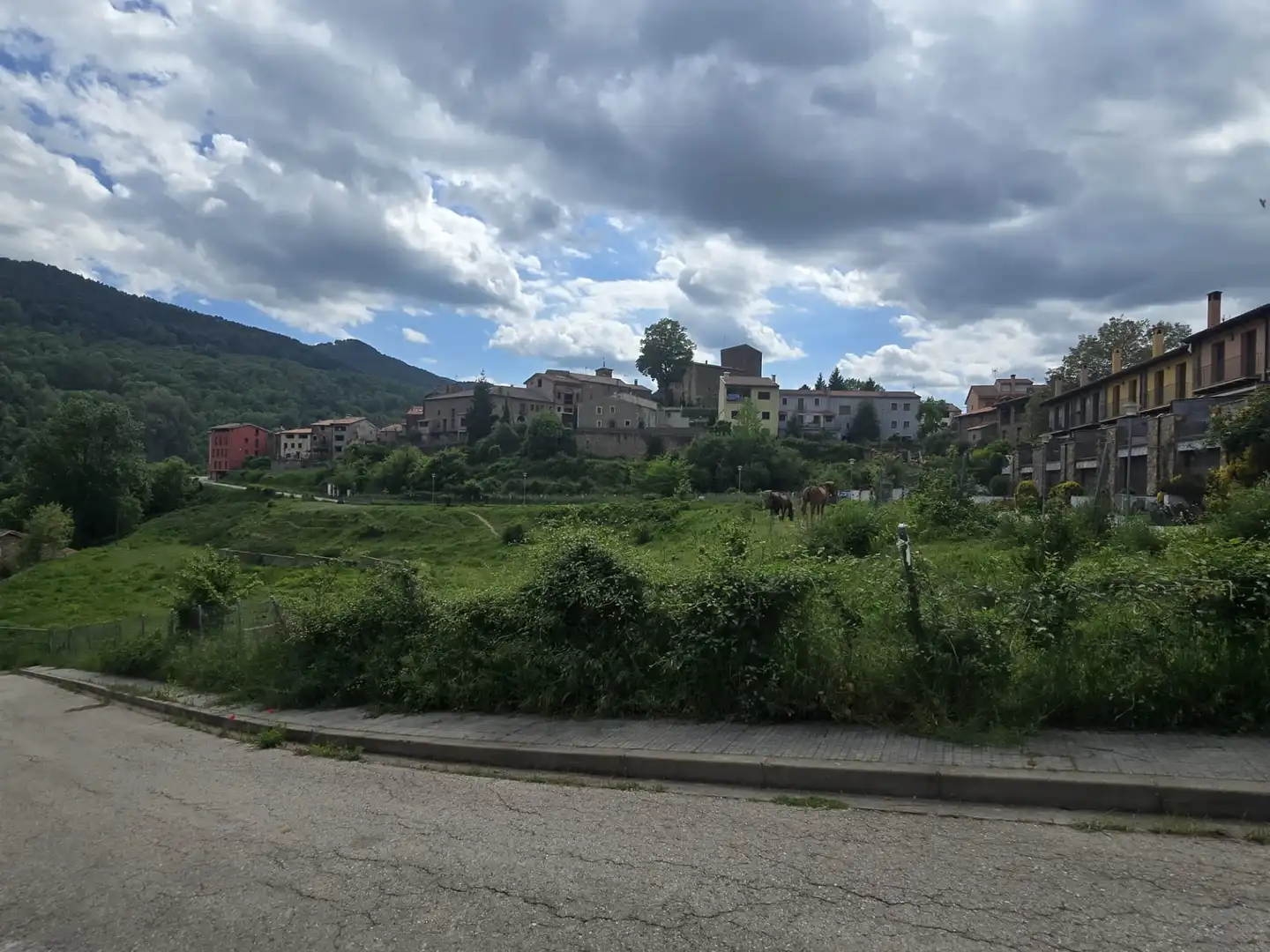 Casa o xalet en venda en Vallfogona de Ripollès amb Calefacció, Jardí privat i Parquet