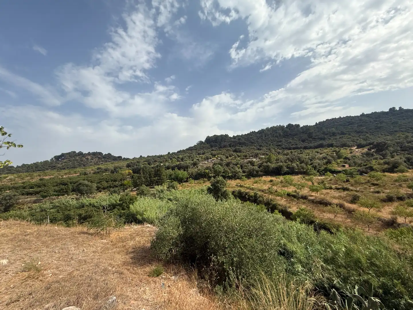 Finca rústica en venda en L'Aleixar amb Calefacció, Jardí privat i Parquet