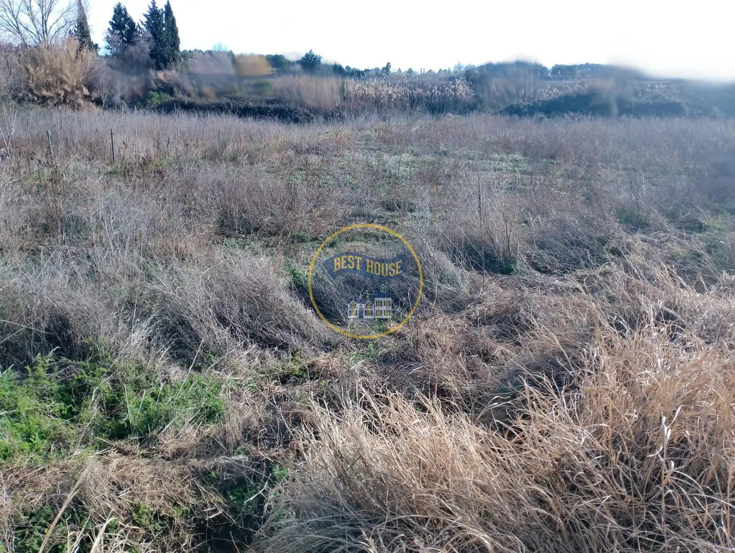 Terrain rustique à vendre à El Pilar, imagen 3