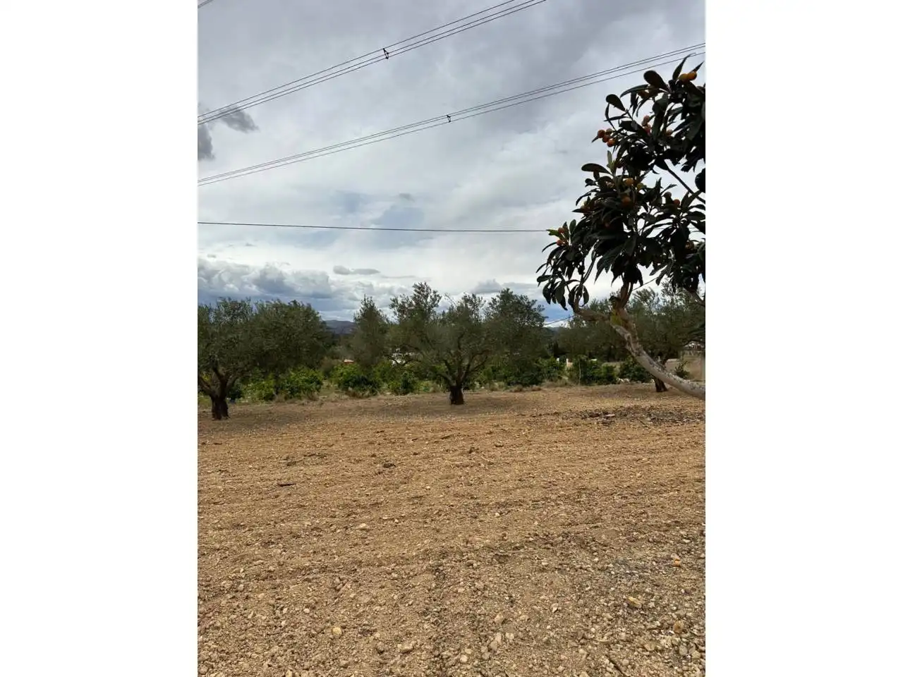 Terreno rústico en venta en Rambla AZUD, imagen 4