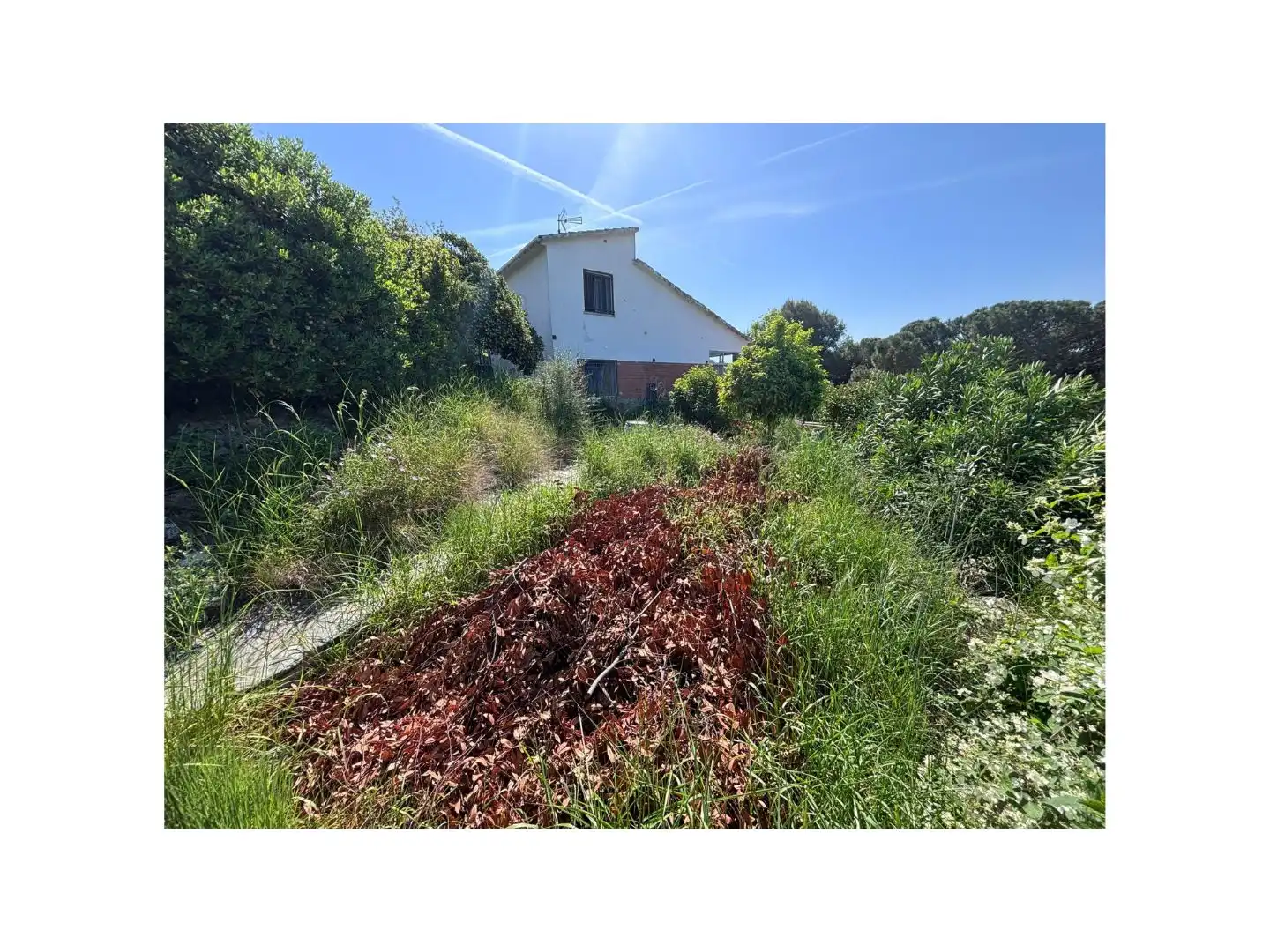 Casa amb piscina en venda a Francesc Macià 33, imagen 39