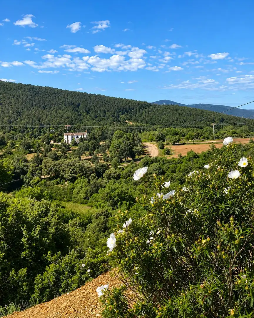 Rural land for sale in Navahermosa, imagen 24