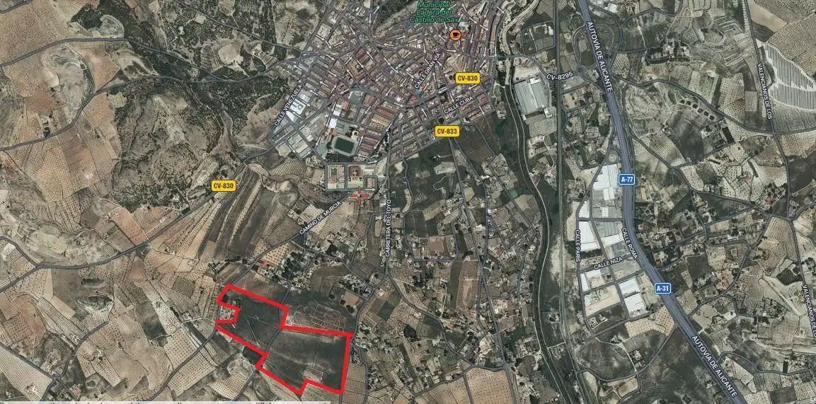 Terreny rústic en venda a Camino Murcia, imagen 14